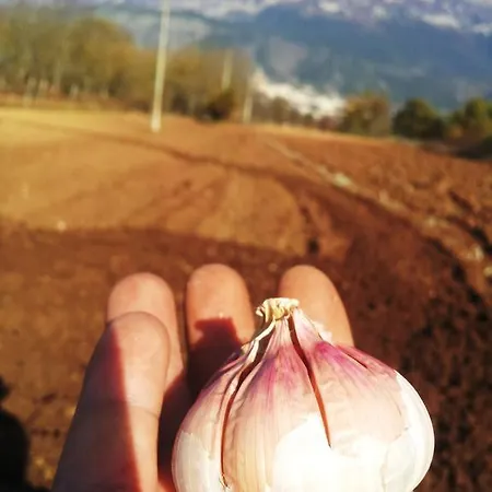 L'orto Di Pentima